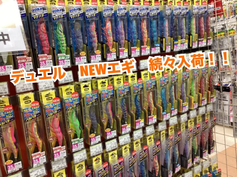 デュエル NEWエギ ぞくぞく入荷！！