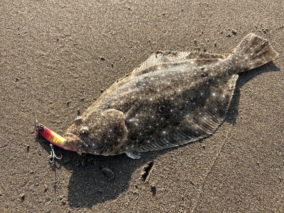 オフシーズンの茨城サーフは⁇