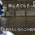 【誰でも簡単】シーバスを簡単に釣る方法があります | ガッ釣り関西