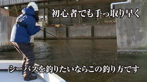 【誰でも簡単】シーバスを簡単に釣る方法があります | ガッ釣り関西 【誰でも簡単】シーバスを簡単に釣る方法があります | ガッ釣り関西