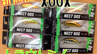 ⭐新商品⭐XOOX  ネクト50S