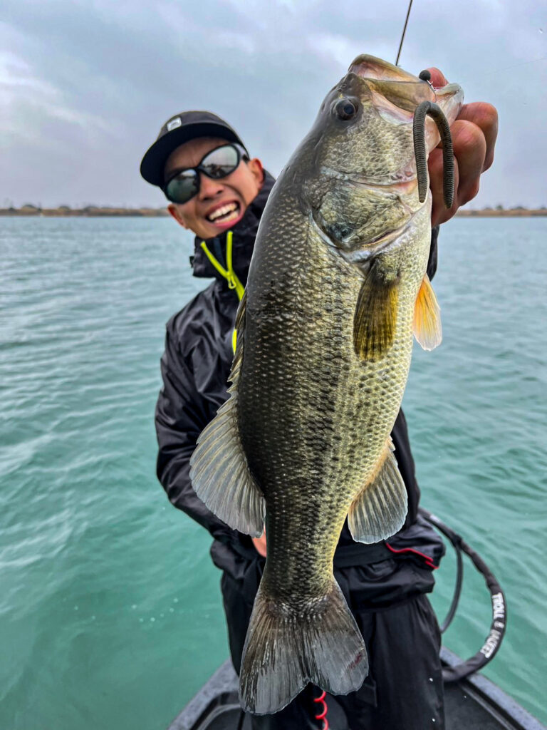 フリック牧場開幕！/徳田翔己