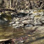 �T�����[�}���ލs�L�E1102�i�r��G�����j �T�����[�}���ލs�L�E1102�i�r��G�����j