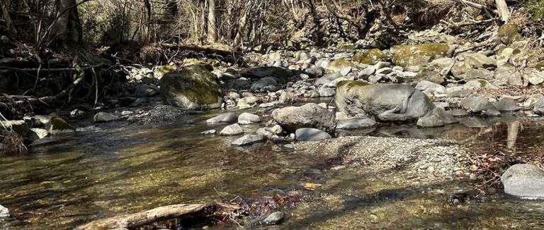 �T�����[�}���ލs�L�E1102�i�r��G�����j