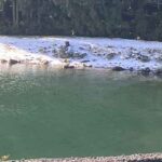 �T�����[�}���ލs�L�E1099�i�r��G�����j �T�����[�}���ލs�L�E1099�i�r��G�����j