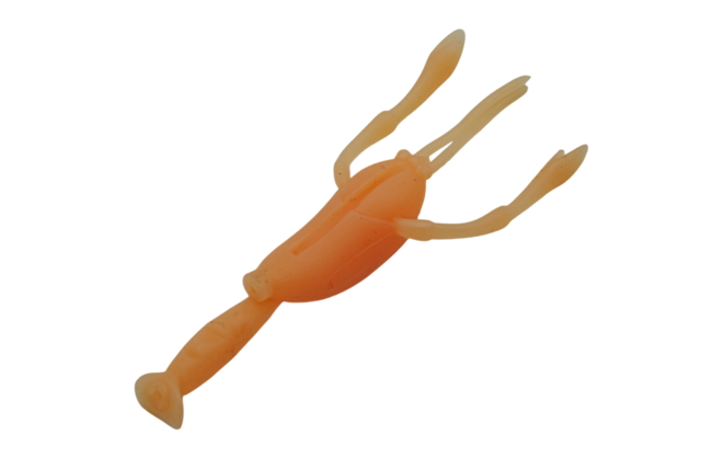 4/5「ディスタイル×ティムコ」展示即売会を開催致します！！