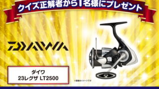 ３月前半のキャスクイズのプレゼントは。。。!【キャスティング倶楽部 抽選ページ】