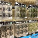 3/7新大宮バイパス店 バスブログ 3/7新大宮バイパス店 バスブログ