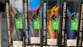 【ダイワ】アモラスジョイント‐タイプ シャロー‐入荷！！＠青戸店