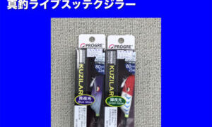 真釣ライブスッテクジラー