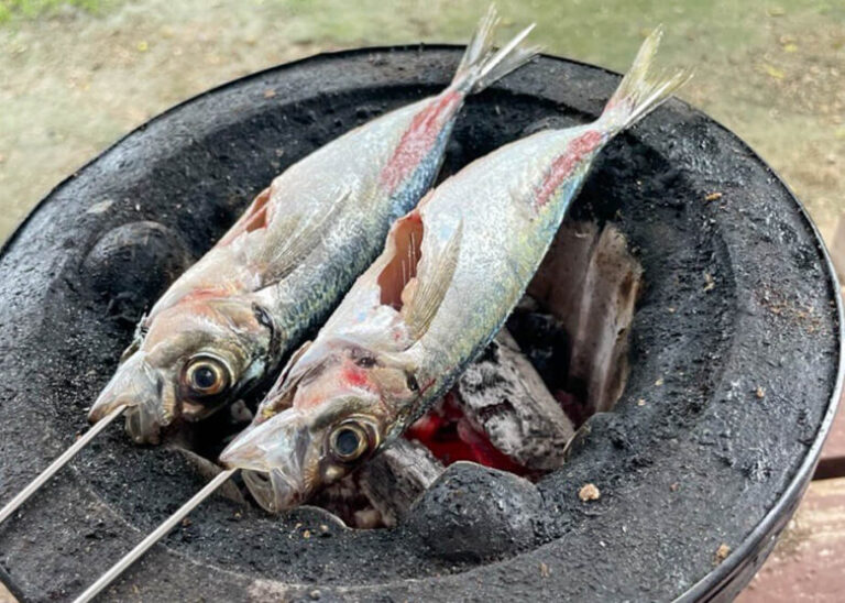 釣った魚を美味しく食べる！「七輪塩焼き」のススメ        FISHFRIENDS×HEATコラボ企画
