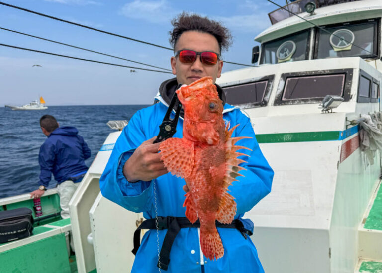 美味しいものにはトゲがある!? ヒレ酒最高！オニカサゴの魅力と食べ方