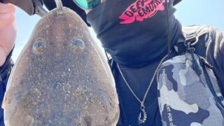 ついにこの時期が来ました！！“マゴチ”が釣れています🐟