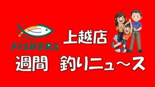 【上越店】　週間釣りニュース