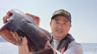春イカ開幕！投げ釣りでも竿が飛んでいくアタリが！(三重県熊野市)