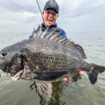 春のノマセチニング 春のノマセチニング