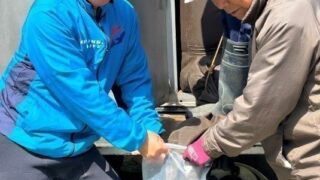【環境保全】那珂川支流 武茂川　鮎放流活動に参…