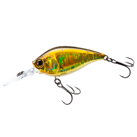 動画更新! 【CROSS MISSION #14】ラトゥール？ビッグバスシークレット!|特命クロス/黒須和義