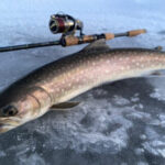 【Megabass blog】永嶋 佑基「冬から春に向けてのアメマス釣り -part1-」 【Megabass blog】永嶋 佑基「冬から春に向けてのアメマス釣り -part1-」