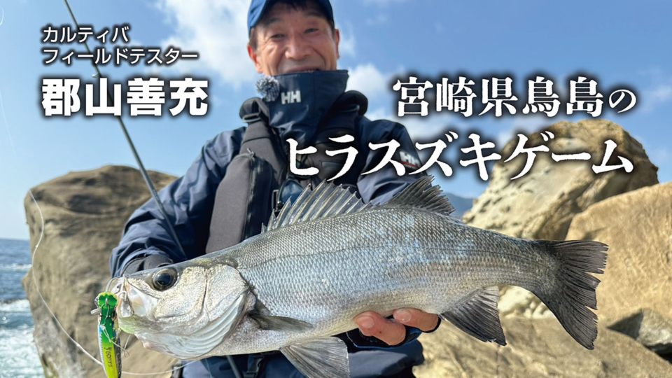 「宮崎県鳥島のヒラスズキゲーム」をアップいたしました。