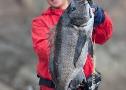 ポップ釣行脚！　チニング(‘ω’)　５月