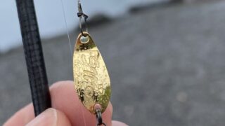 【エリアトラウト釣行レポート】ゴールデンウィーク後のアルクスポンド焼津をスプーニングで攻略！！新着!!