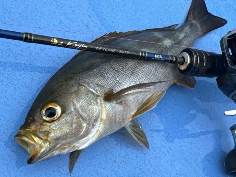 kaijin マダイゲーム＠洲崎イサキ