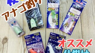 【オススメ】夜アナゴ釣りオススメ仕掛け