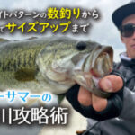 「アーリーサマーの五三川攻略術」をアップいたしました。 https://ownertv.jp/movie/5183/ 「アーリーサマーの五三川攻略術」をアップいたしました。 https://ownertv.jp/movie/5183/