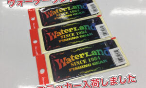 【新製品】ウォーターランド　ステッカー入荷しました‼︎