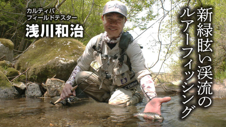 新緑眩い渓流のルアーフィッシング【狩野川支流】