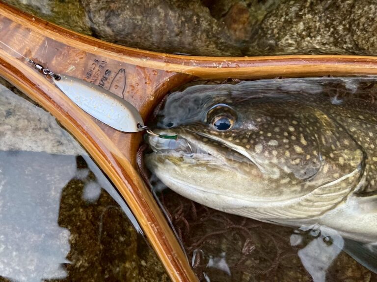 【ネイティブトラウトフィールドレポート】トワイライトXF17gのポテンシャル炸裂、中禅寺湖レイクトラウト！！新着!!