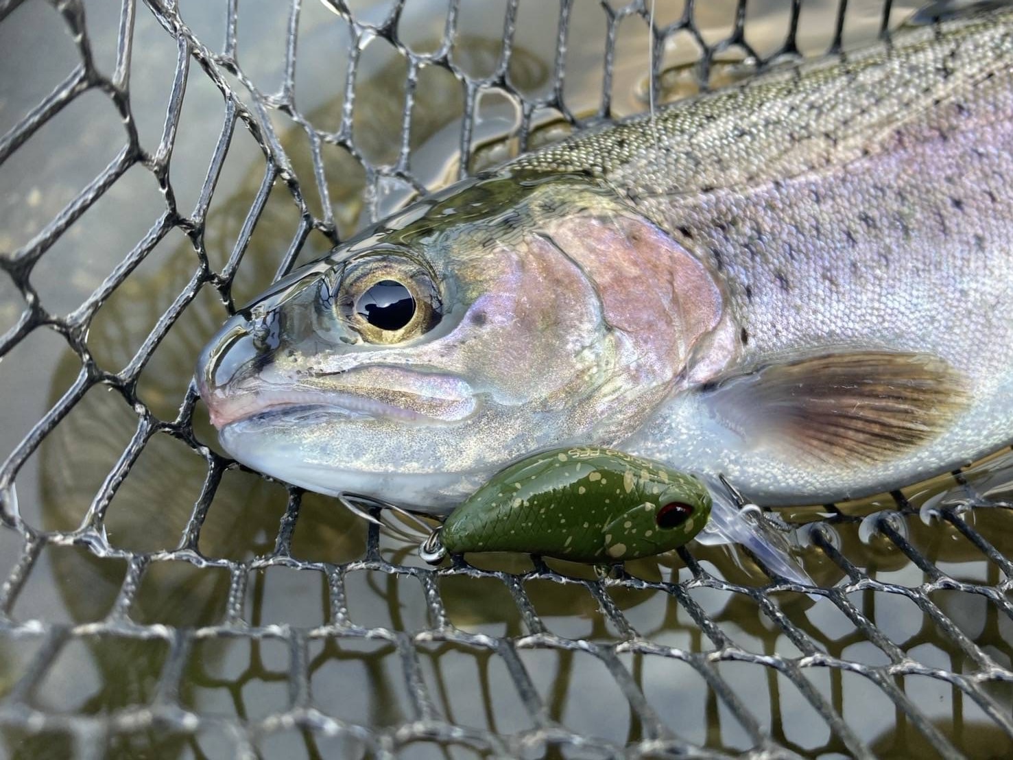 【エリアトラウトフィールドレポート】新機種追加で攻略の幅がさらに広がるVKスタッフカラープラグ！！新着!!