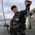 初夏といえば西湘のサーフのライトショアジギング