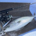 ドラッグメタルフォースセミロングで青物ジギング