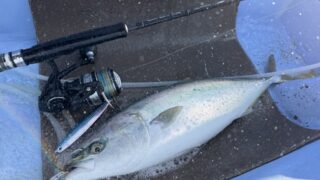 ドラッグメタルフォースセミロングで青物ジギング