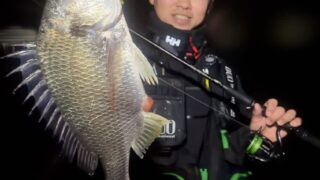 新チヌゲーム!!浜名湖メソッドを房総フィールドで試した結果は…めっちゃ楽しい♪