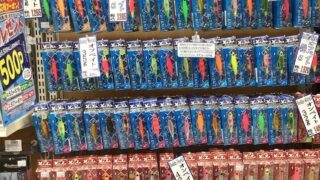 ソルトルアー入荷情報！