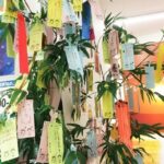 今年も《七夕飾り》を全店にて実施中♪星に願いを… 今年も《七夕飾り》を全店にて実施中♪星に願いを…