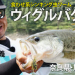 食わせ系シンキング虫ワーム”ウィグルバグ”実釣動画配信