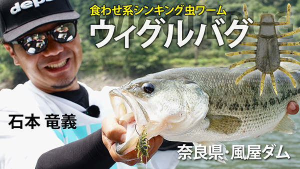 食わせ系シンキング虫ワーム”ウィグルバグ”実釣動画配信 食わせ系シンキング虫ワーム”ウィグルバグ”実釣動画配信