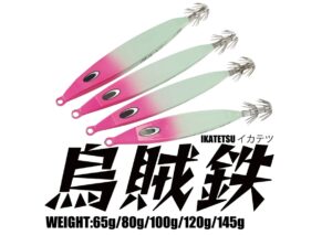 入荷情報♪