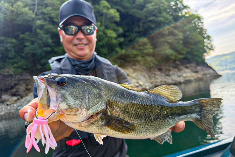 早明浦ダムで実証。フリーリグ×キングジミーヘンジが効いた理由/南一貴