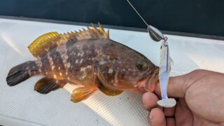 春と夏の交差点(山形県鶴岡市)
