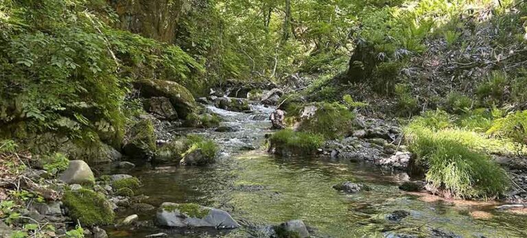 �T�����[�}���ލs�L�E1124�i�r��G�����j