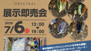 レインズ　スワンプワーム　キャスティングオリジナルカラー入荷