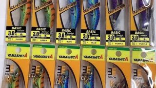 エギ王K入荷