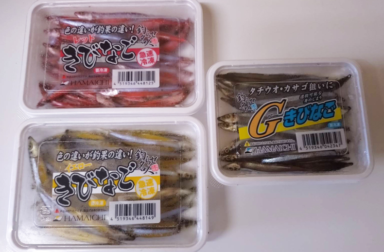 8月9日 福岡の夏の風物詩。安・近・短でドラゴン タチウオいただきました～