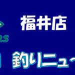 今週の釣り情報