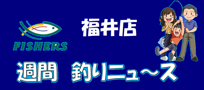 今週の釣り情報